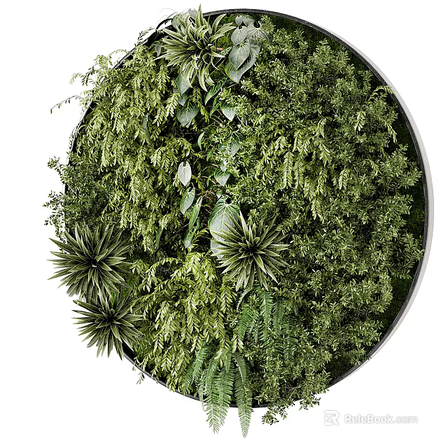 Circular Living Plant Wall with Various Green Plants for Indoor Decor 3d model 