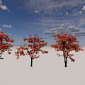 Three Autumn Trees With Red And Orange Leaves On White Background