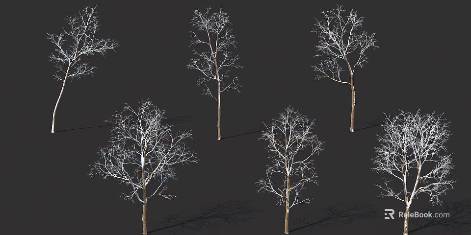 Leafless Arbor Trees With Bare Branches On Dark Background And Shadows 3d model