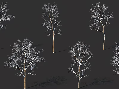 Leafless Arbor Trees With Bare Branches On Dark Background And Shadows 3d model