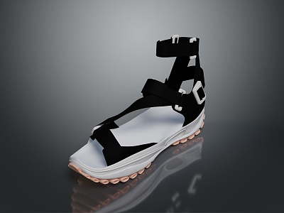 Sandals Peep Toe Shoes Platform Shoes Roman Sandals High Heel Sandals Wedge Sandals 3d model