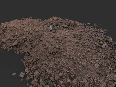 Natural Micro Terrain With Rocks Soil And Detailed Surface Texture 3d model