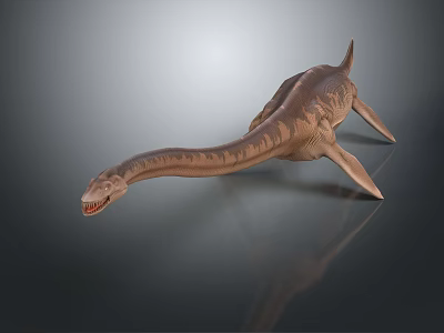 Realistic 3D Plesiosaur Dinosaur Model With Long Neck And Flippers on Dark Reflective Surface 3d model
