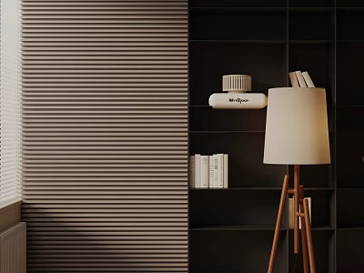 Modern Floor Lamp with White Lampshade on Wooden Stand Near Black Bookshelf and Striped Curtains 3d model