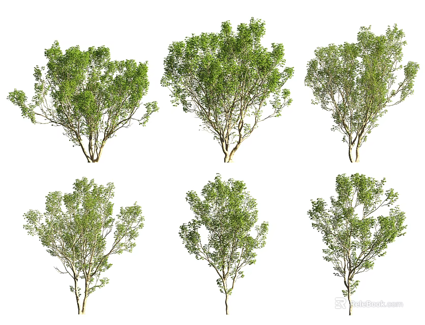 Multiple Arbor Trees With Lush Green Foliage And Different Natural Shapes 3d model