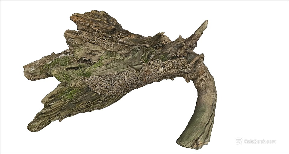 Natural Driftwood Log With Moss Covered Surface And Bird Nest Details 3d model 