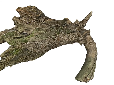 Natural Driftwood Log With Moss Covered Surface And Bird Nest Details 3d model