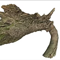 Natural Driftwood Log With Moss Covered Surface And Bird Nest Details
