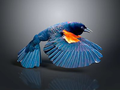 Vibrant Blue Bird With Orange Wing Feathers Spreading Wings On Reflective Surface 3d model