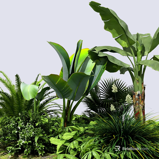 Lush Tropical Plants With Large Green Leaves And Various Foliage In Garden 3d model 
