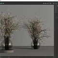 Two Transparent Glass Vases With White Flower Branches On Wooden Bases And Grey Background