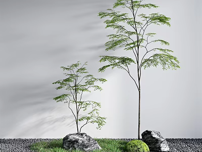 Modern Plants Plant Landscape 3d model