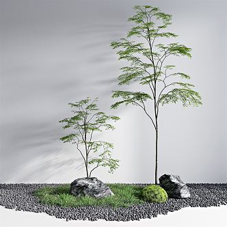 Modern Plants Plant Landscape 3d model