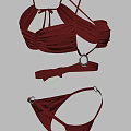 Maroon Bikini Set With Crisscross Halter Top High Waist Bottom And Ring Accent