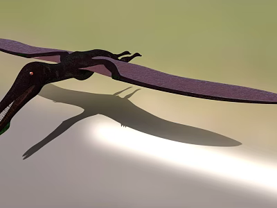 Dark Colored 3D Pterosaur Model With Spread Wings And Shadow 3d model