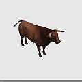 Detailed Brown Bull With Long Horns In Standing Pose On Gray Background