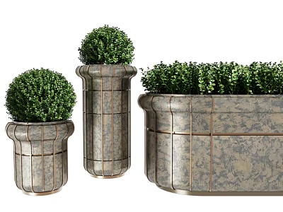 Bonsai Potted Plants In Metal Planters With Green Shrub And Various Shapes 3d model