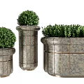 Bonsai Potted Plants In Metal Planters With Green Shrub And Various Shapes
