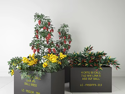 Colorful Garden Decorative Plants In Black Square Planters With Red Berries And Yellow Flowers 3d model