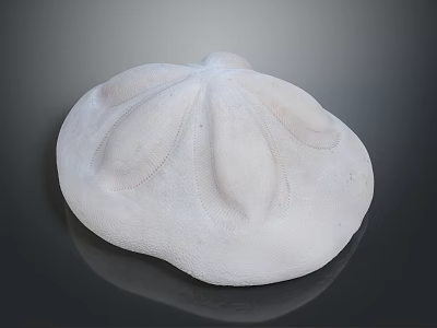 Aquatic Animal White Sea Urchin Test With Smooth Surface And Radial Patterns 3d model