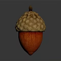 Natural Acorn With Brown Bumpy Cap And Red Body For Food Decoration Use
