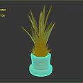 Green Leaf Plant with Long Leaves in Two Tiered Terracotta Pot on Dark Background