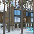 Modern Elevated Wooden House With Pine Trees Open Deck And Water View