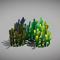 Colorful Cactus Plants Collection with Green Yellow Brown Blue Color Varieties