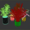 Various Green Foliage Plants In Black Planters For Indoor Home Decor