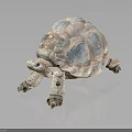 Artistic Turtle Sculpture With Patterned Shell Blue Pink Tones On Dark Background