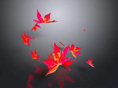 Red and Pink Autumn Leaves Floating with Reflection on Dark Background 3d model