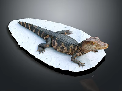 Brown Spotted Crocodile Resting On White Rock Surface With Detailed Skin Texture 3d model