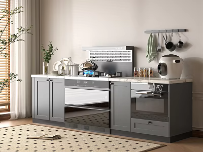 Modern Gray Kitchen Interior With Marble Countertop Range Hood And Rice Cooker Appliances 3d model