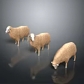 Three Sheep Standing On Dark Surface With Reflections 3d model