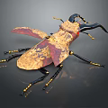 Mechanical Winged Flying Beetle With Red Gold Patterns And Black Legs 3d model