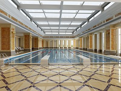 Private Swimming Hall Modern Swimming Pool 3d model