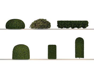 Various Trimmed Shrub Shapes For Garden Decorative Display Arrangement Design 3d model