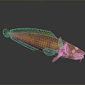 Yellow And Brown Striped Aquatic Fish With Elongated Body And Fins On Dark Surface