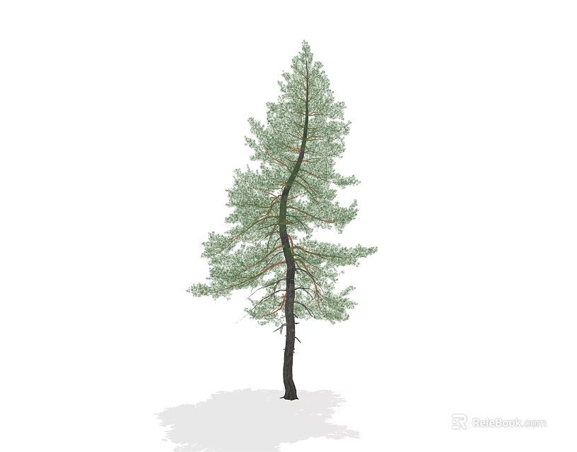 Single Arbor Tree With Green Pine Foliage And Dark Straight Trunk 3d model