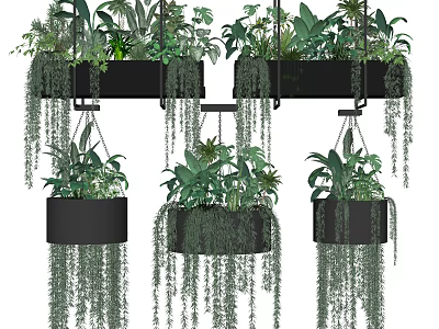 Stylish Hanging Potted Plants In Black Pots With Trailing Green Leaves For Indoor Decor 3d model