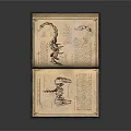 Detailed Hand Drawn Sculpture Carving Illustrations In Open Ancient Book Pages
