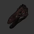 Detailed Dinosaur Skull Fossil With Anatomical Structure And Sharp Teeth 3d model