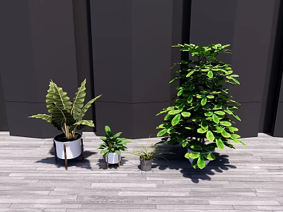 Modern Potted Plant 3d model