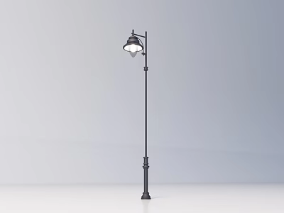 Modern Outdoor Street Light With Black Pole And Bright Illumination For Garden Pathway 3d model