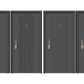 Modern Gray Security Doors With Different Textured Patterns And Brass Handles 3d model