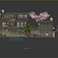 Traditional Japanese House Exterior with Pink Cherry Blossom Green Tree Stone Wall and Path