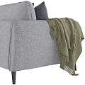 Gray Sofa With Throw Pillows And Blanket In Modern Minimalist Design