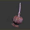 Pinkish Purple Poppy Pod With Stem And Residual Petals 3D Rendered On Dark Background