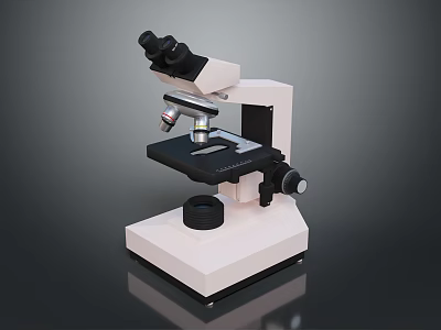Binocular Microscope With Adjustable Stage And Stable Base For Laboratory Use 3d model