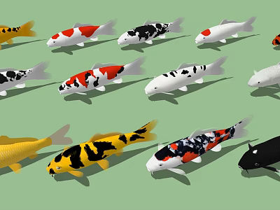 Vibrant Koi Fish of Various Colors Swimming Together on Green Background 3d model